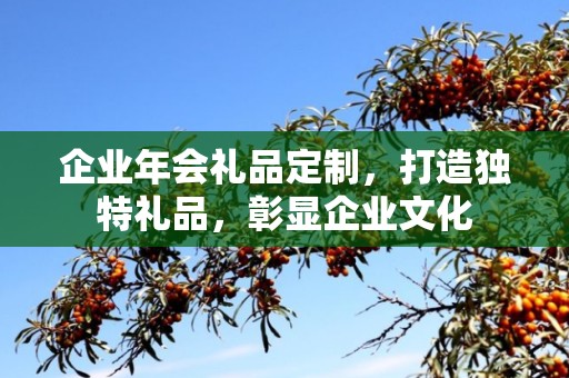 企业年会礼品定制，打造独特礼品，彰显企业文化