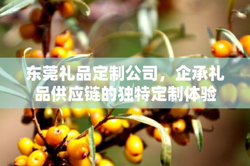 东莞礼品定制公司，企承礼品供应链的独特定制体验