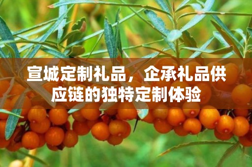 宣城定制礼品，企承礼品供应链的独特定制体验
