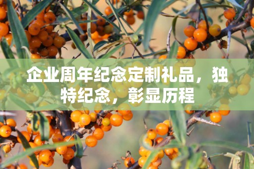 企业周年纪念定制礼品，独特纪念，彰显历程