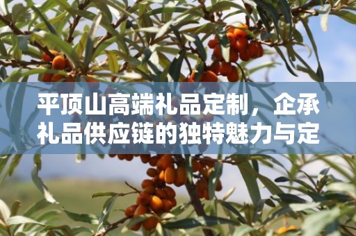 平顶山高端礼品定制，企承礼品供应链的独特魅力与定制之旅