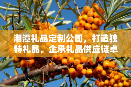 湘潭礼品定制公司，打造独特礼品，企承礼品供应链卓越服务