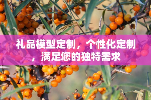 礼品模型定制，个性化定制，满足您的独特需求