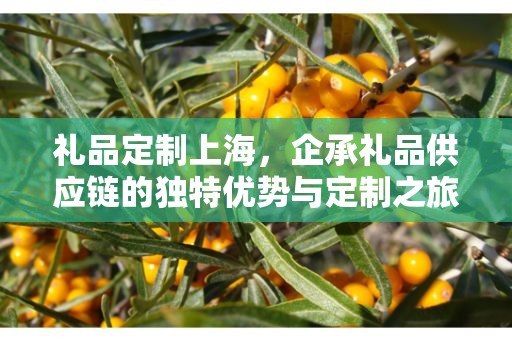 礼品定制上海，企承礼品供应链的独特优势与定制之旅