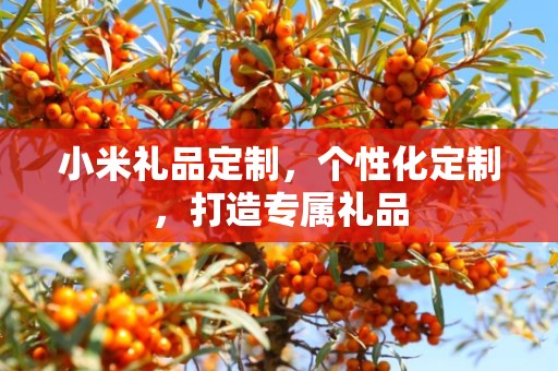 小米礼品定制，个性化定制，打造专属礼品
