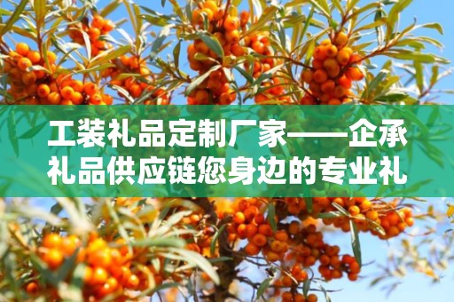 工装礼品定制厂家——企承礼品供应链您身边的专业礼品定制公司
